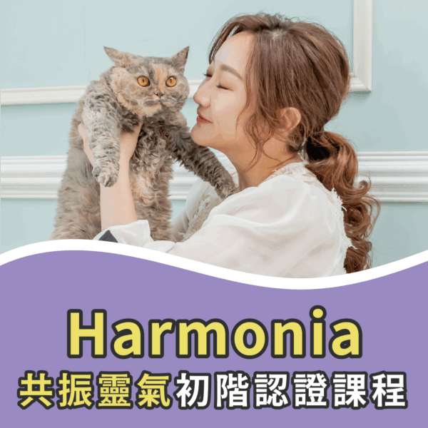 Harmonia共振靈氣|初階認證課程